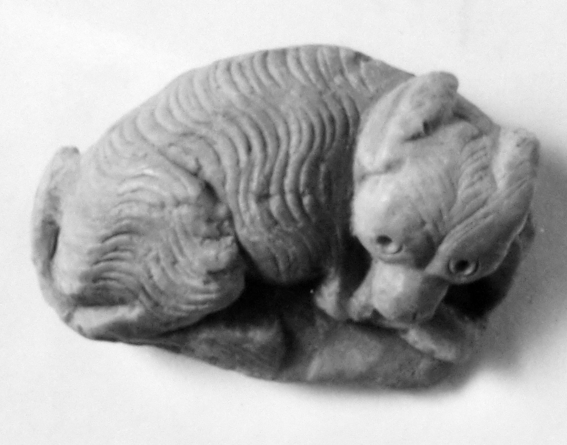 cane (oggetto non identificato) (secc. II/ III d.C)