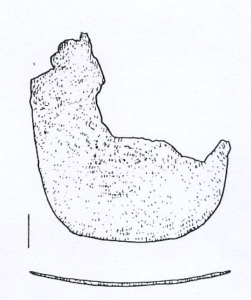 Puntale del fodero della spatha - ambito longobardo (seconda metà sec. VI d. C)