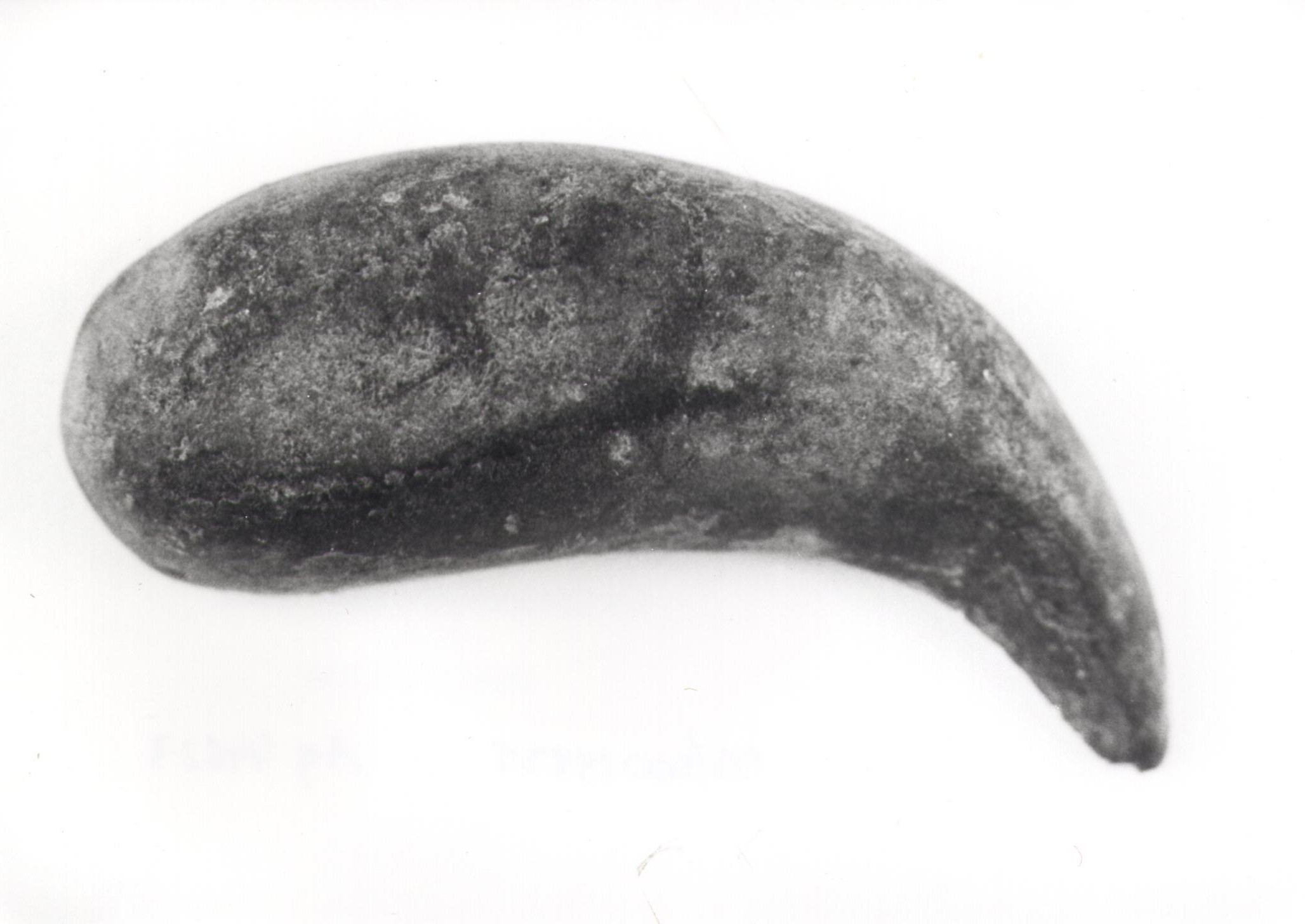 vaso/ supporto (secc. I/ II d.C)