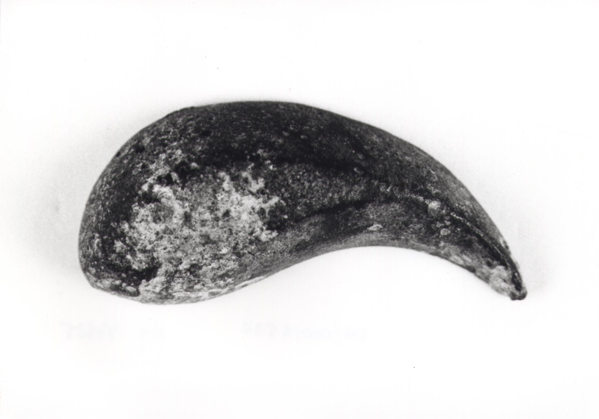 vaso/ supporto (secc. I/ II d.C)