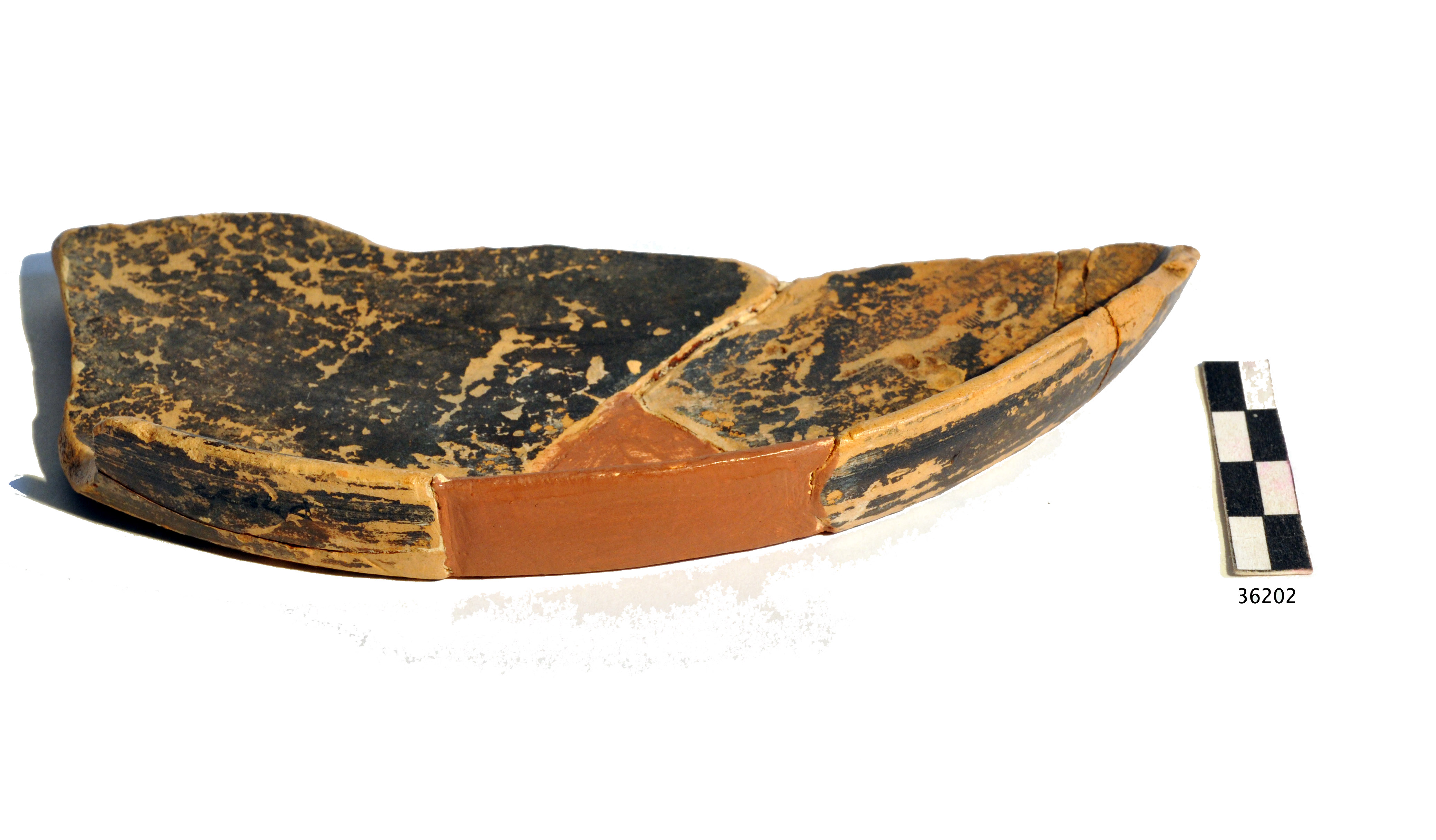 patera (I a.C.- I d.C)