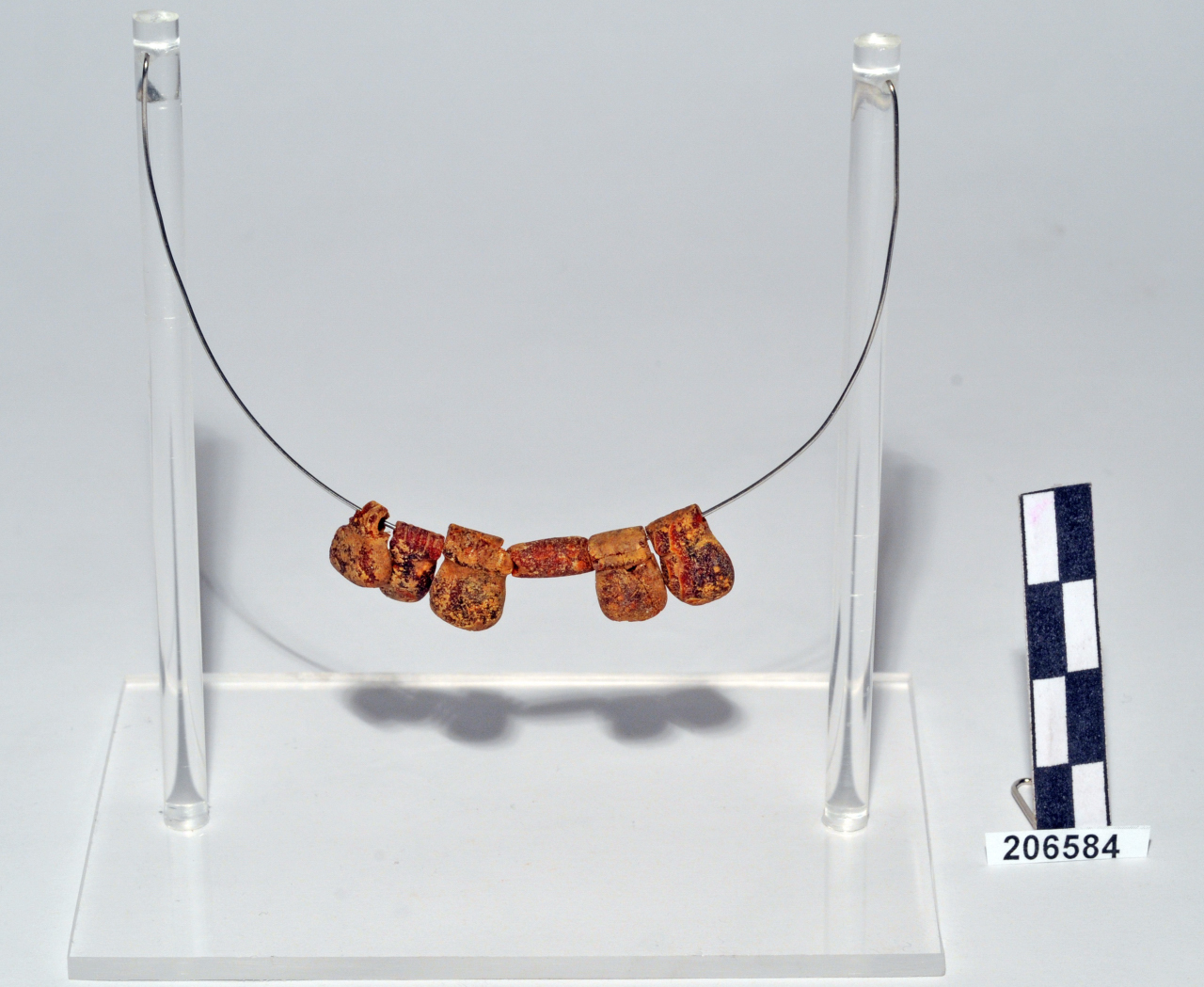 vago (metà/ fine VIII - VII a.C)