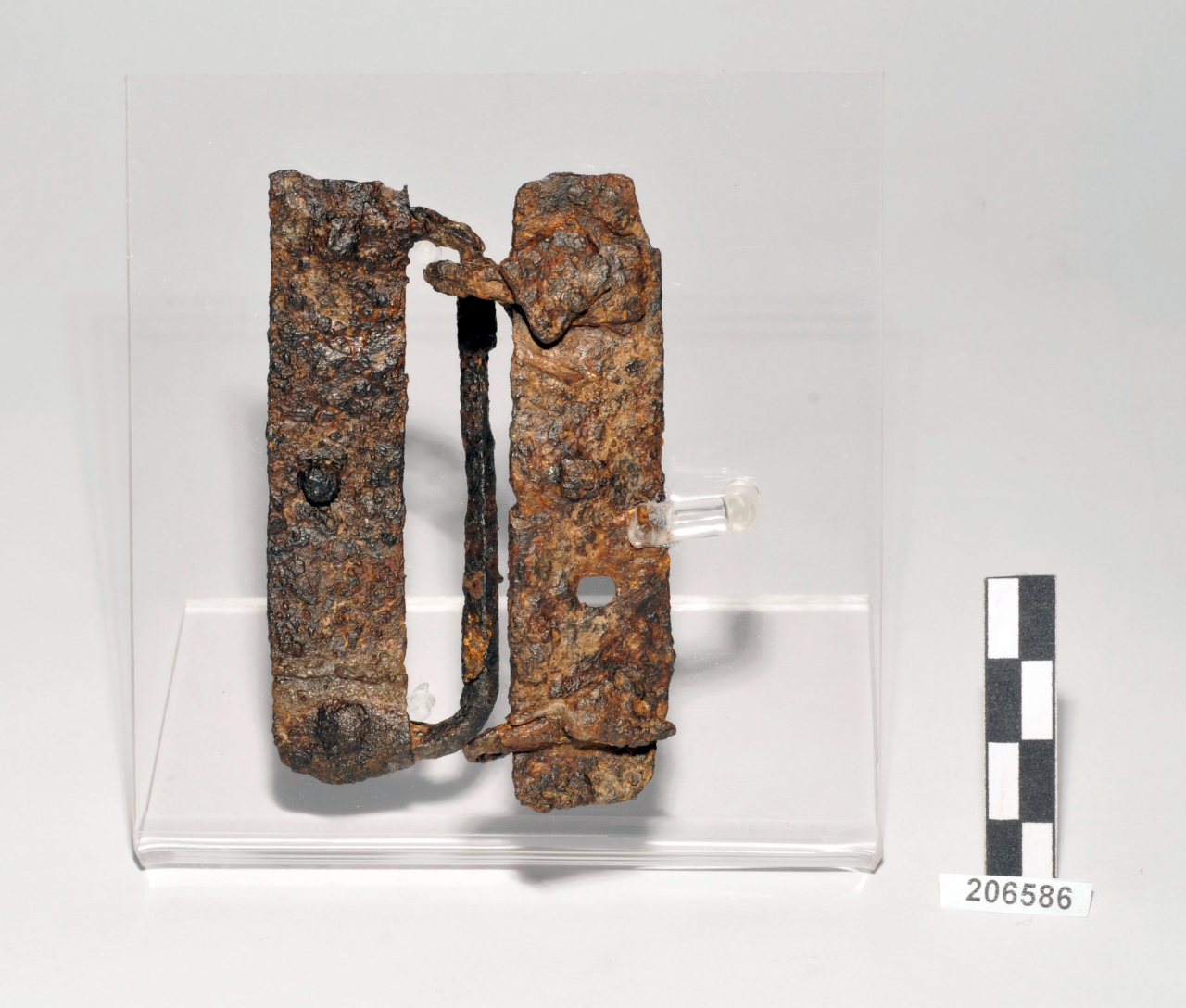 placca/ di cinturone (metà/ fine VIII - VII a.C)