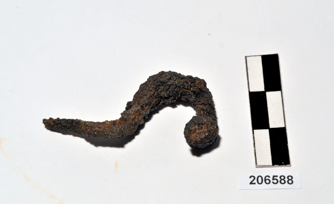 fibula (metà/ fine VIII - VII a.C)