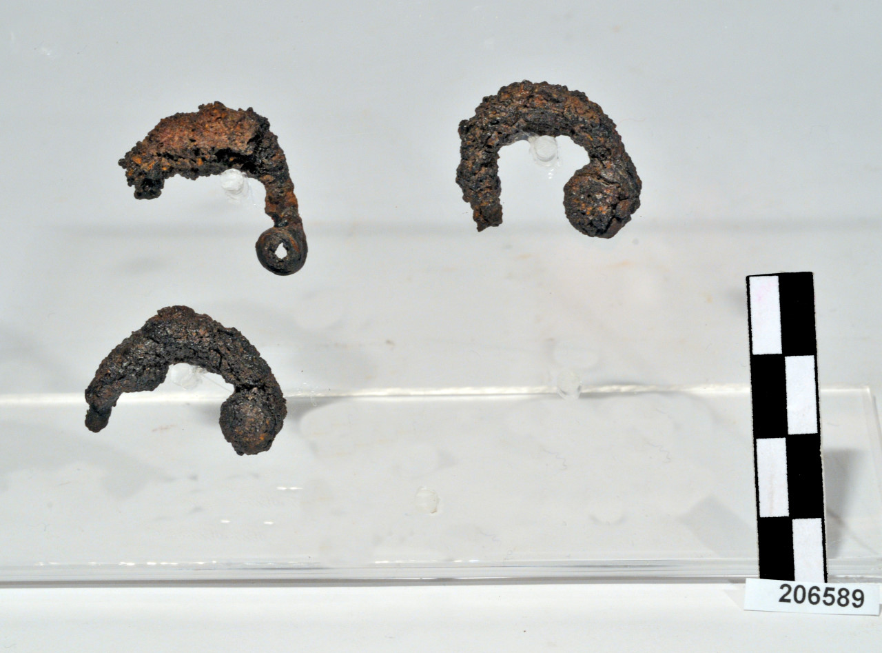 fibula/ arco (metà/ fine VIII - VII a.C)