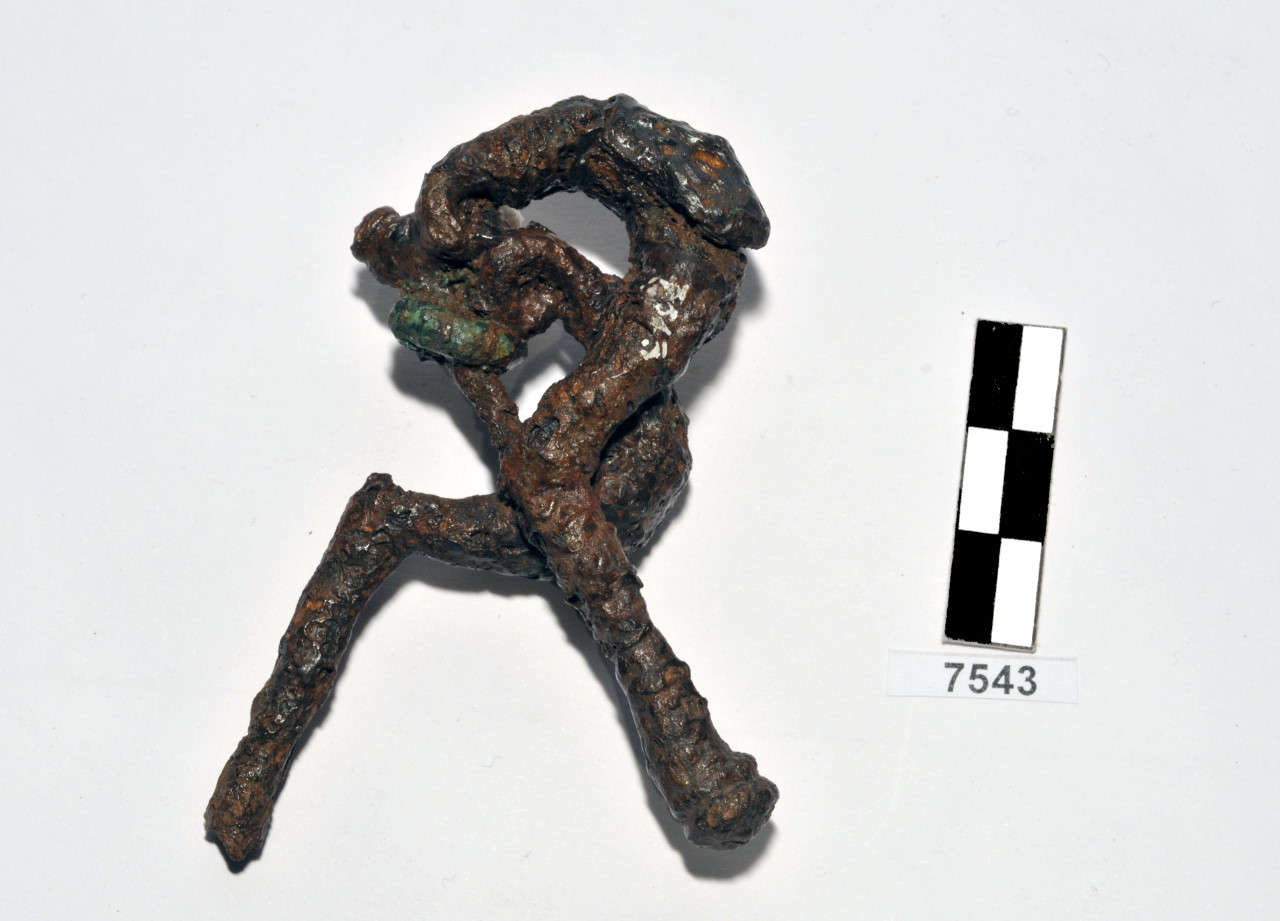 fibula/ ad arco - Fase Piceno IV A (prima metà VI a.C)