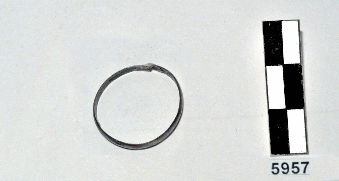 anello - Fase Piceno IV A (prima metà VI a.C)