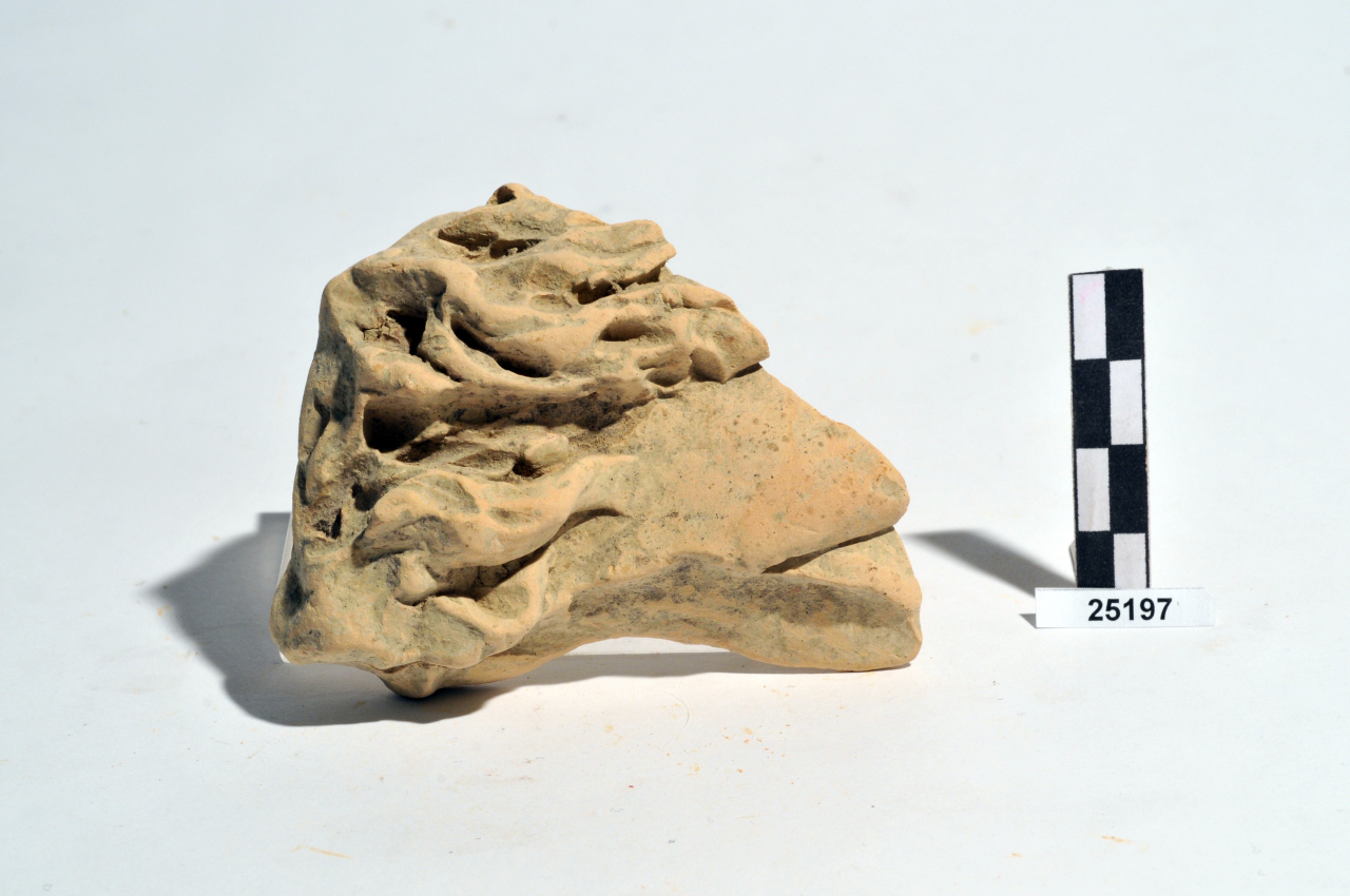 statua frontonale/ criniera animale (ultimo quarto II a.C)