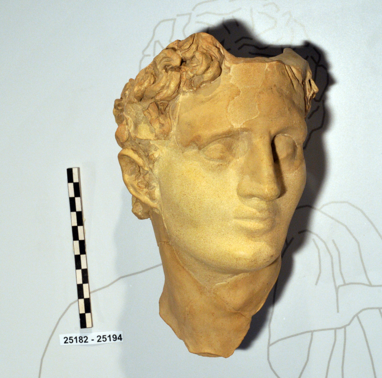 statua frontonale/ testa (ultimo quarto II a.C)