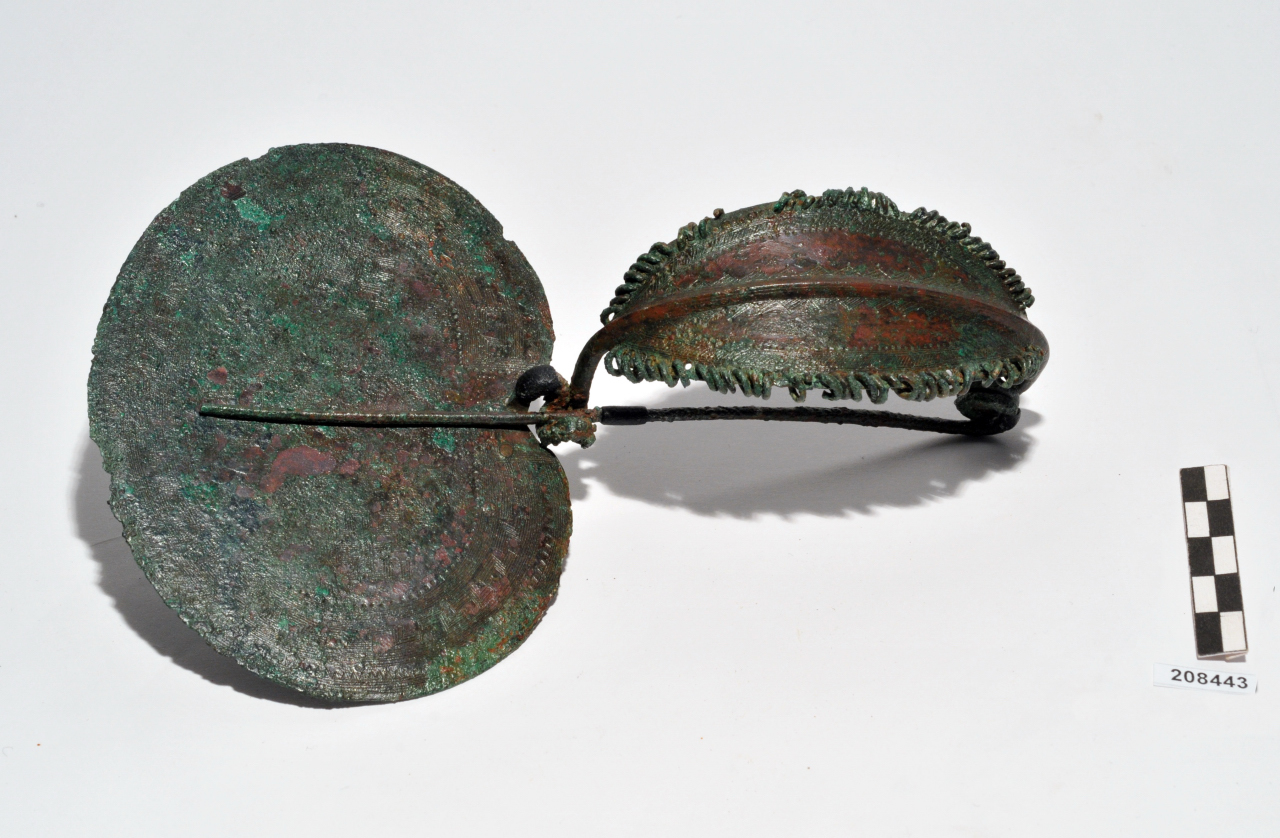 fibula/ arco foliato, staffa a disco - Piceno II (inizio VIII a.C)