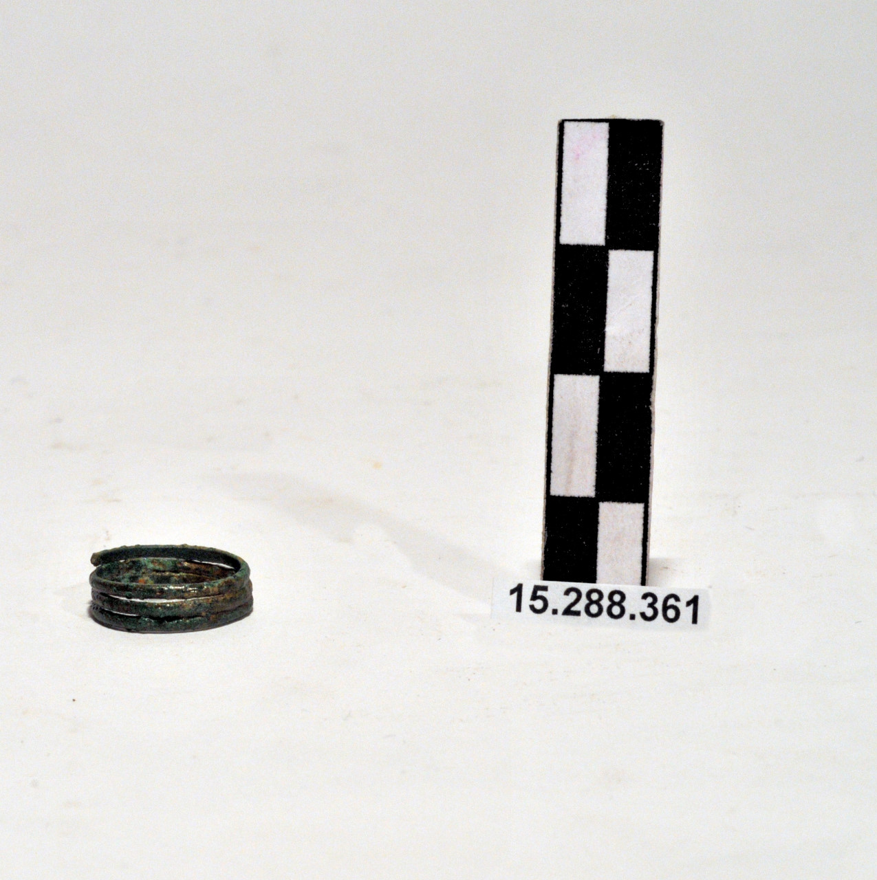 anello/ digitale, spiraliforme - Piceno II (inizio VIII a.C)