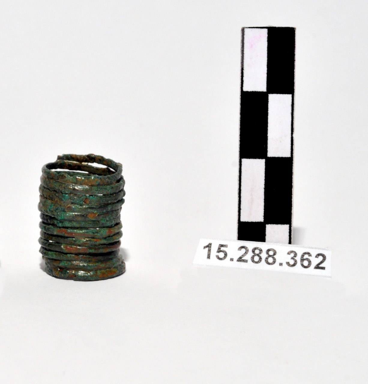 fermatrecce - Piceno II (inizio VIII a.C)