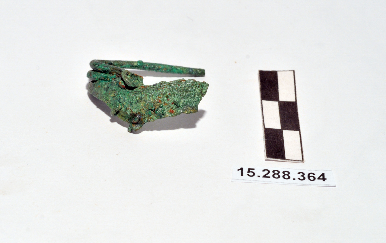 fibula/ arco foliato - Piceno II (inizio VIII a.C)