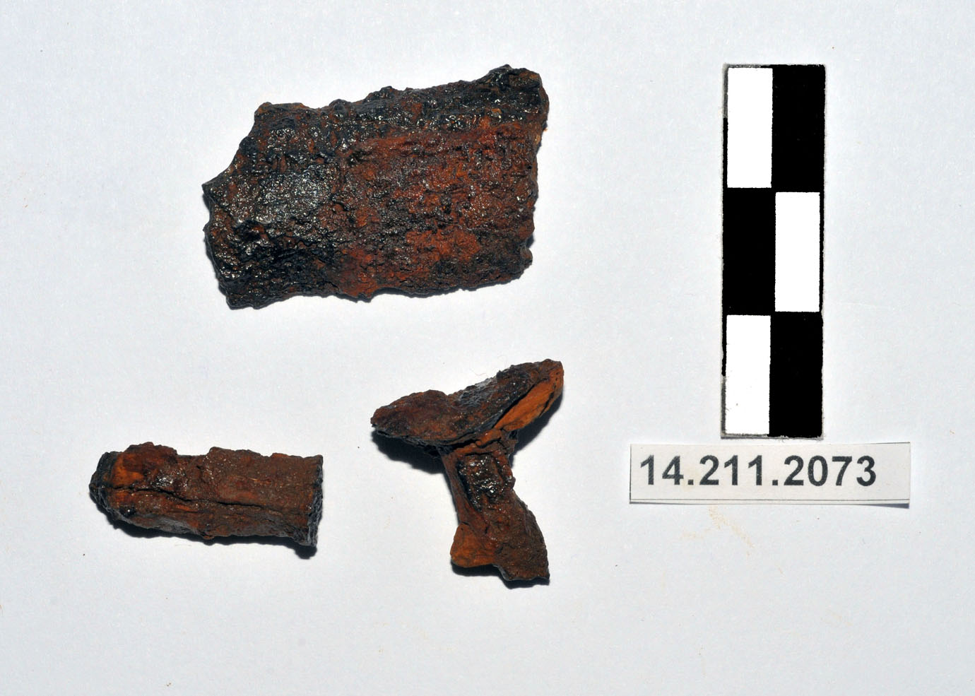lamina - Piceno II (fine/ metà IX-VIII a.C)