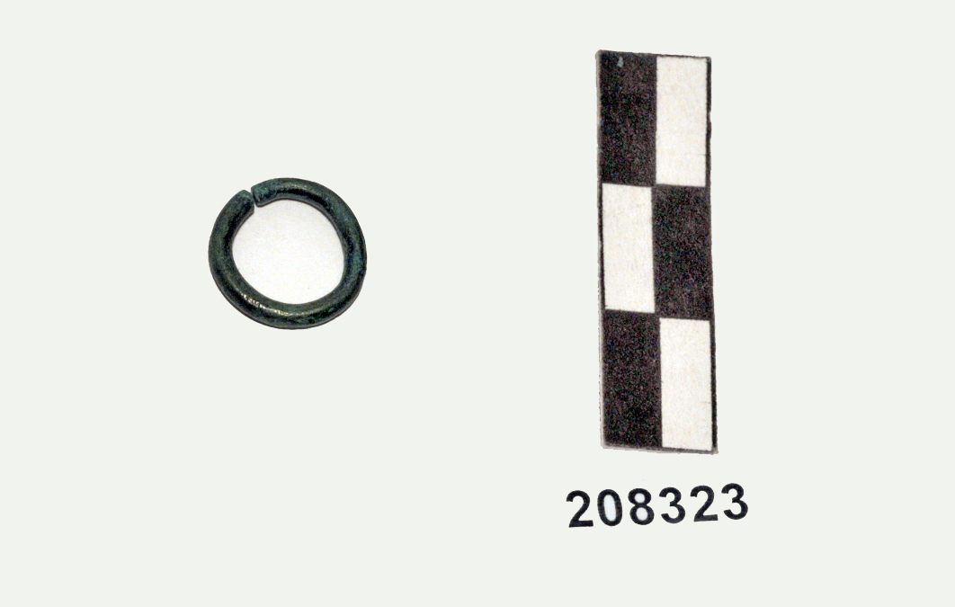 anellino - Piceno II (fine/ metà IX-VIII a.C)