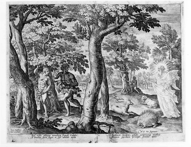 Il peccato originale e la cacciata dal paradiso terrestre, Dio Padre, Adamo ed Eva nel paradiso terrestre (stampa, serie) di De Vos Maarten (XVI)