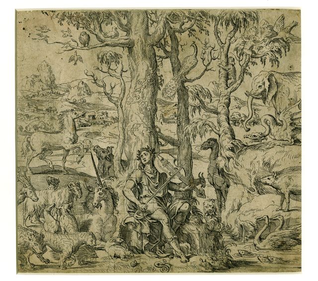 La musica, Orfeo e gli animali (stampa) - ambito italiano (XVI/ XVII)