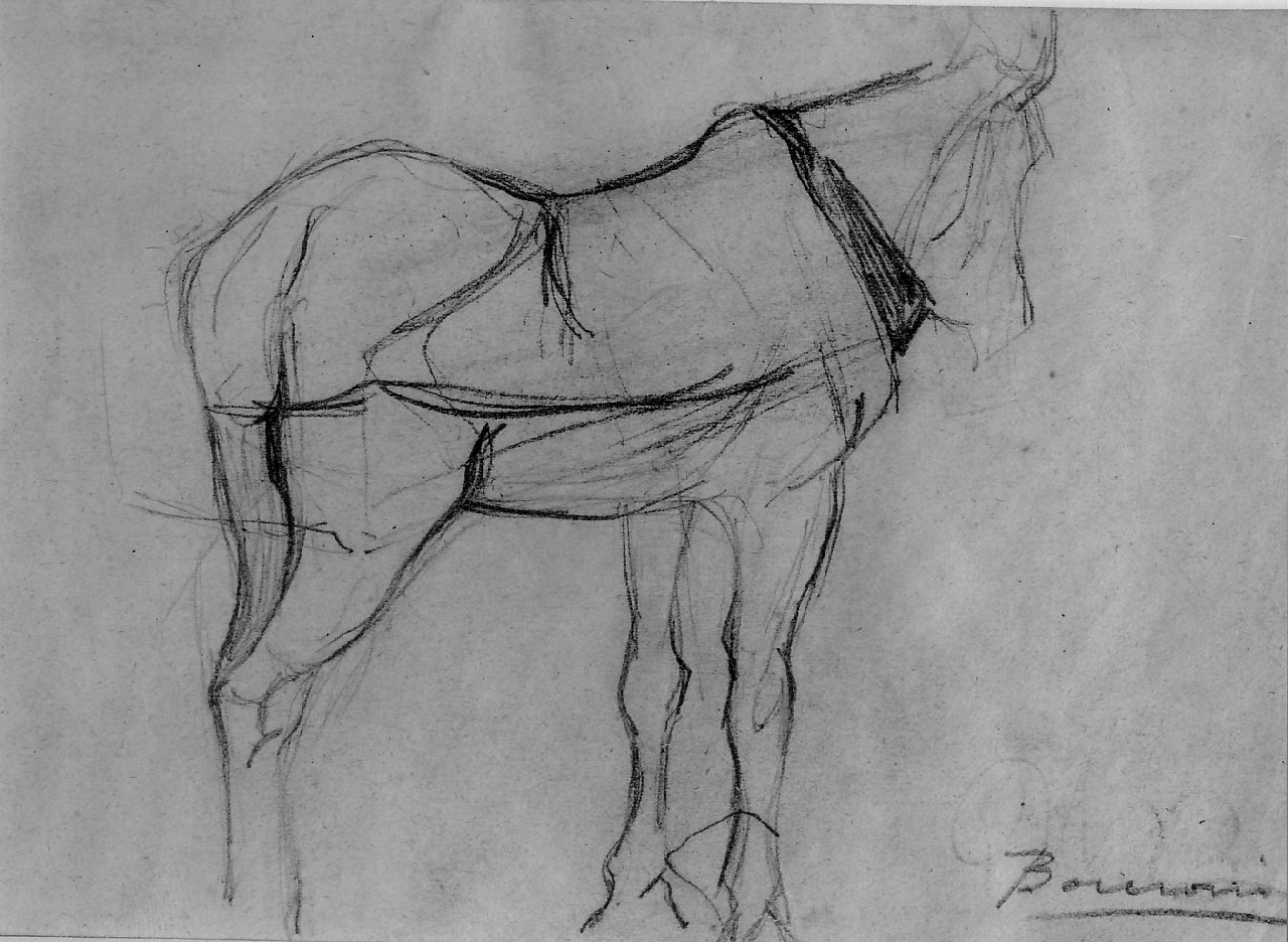 Cavallo bardato, visto da tre quarti da dietro (recto), Cavallo bardato visto da tre quarti da dietro (recto) (disegno, opera isolata) di Boccioni Umberto - ambito italiano (prima metà sec. XX)