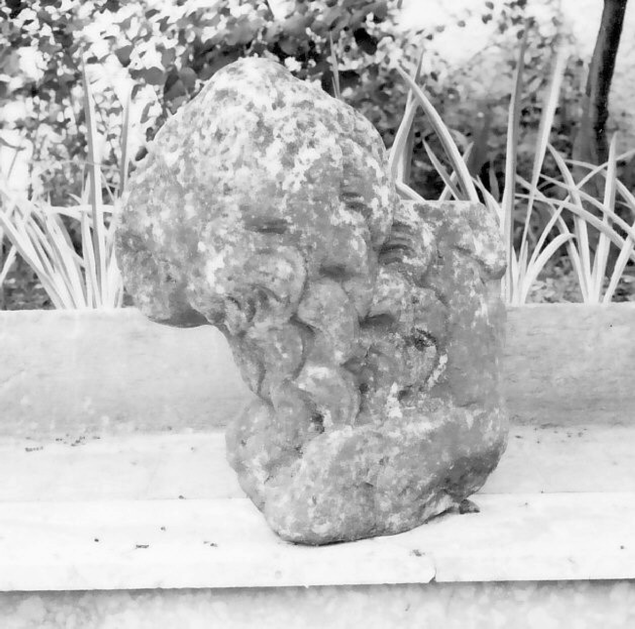 leone (scultura, frammento) - bottega Italia meridionale (sec. XIV)