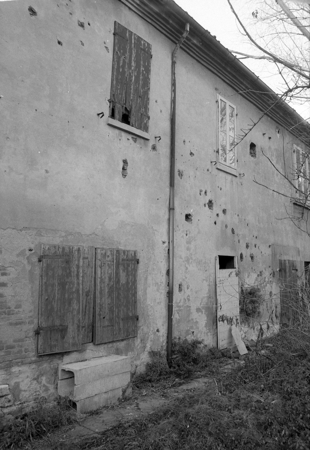 Italia - Emilia Romagna - Ferrara - Architetture - Palazzi - Palazzo Schifanoia (negativo) di Felisatti, Daniele (XX)