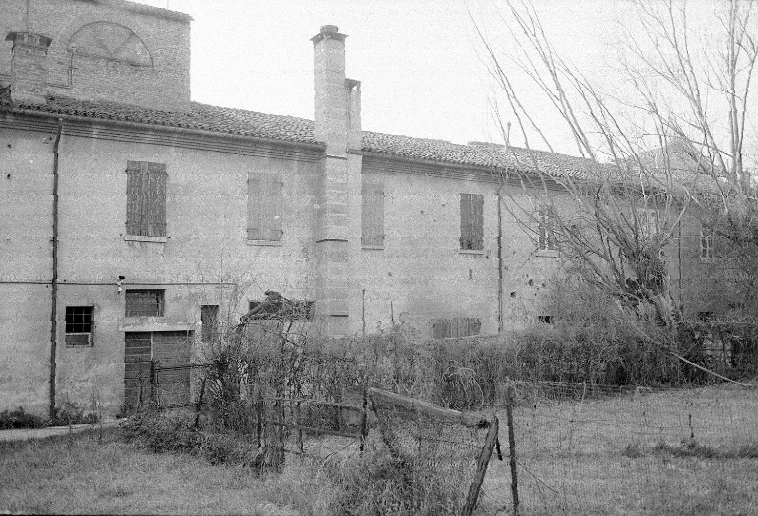 Italia - Emilia Romagna - Ferrara - Architetture - Palazzi - Palazzo Schifanoia (negativo) di Felisatti, Daniele (XX)