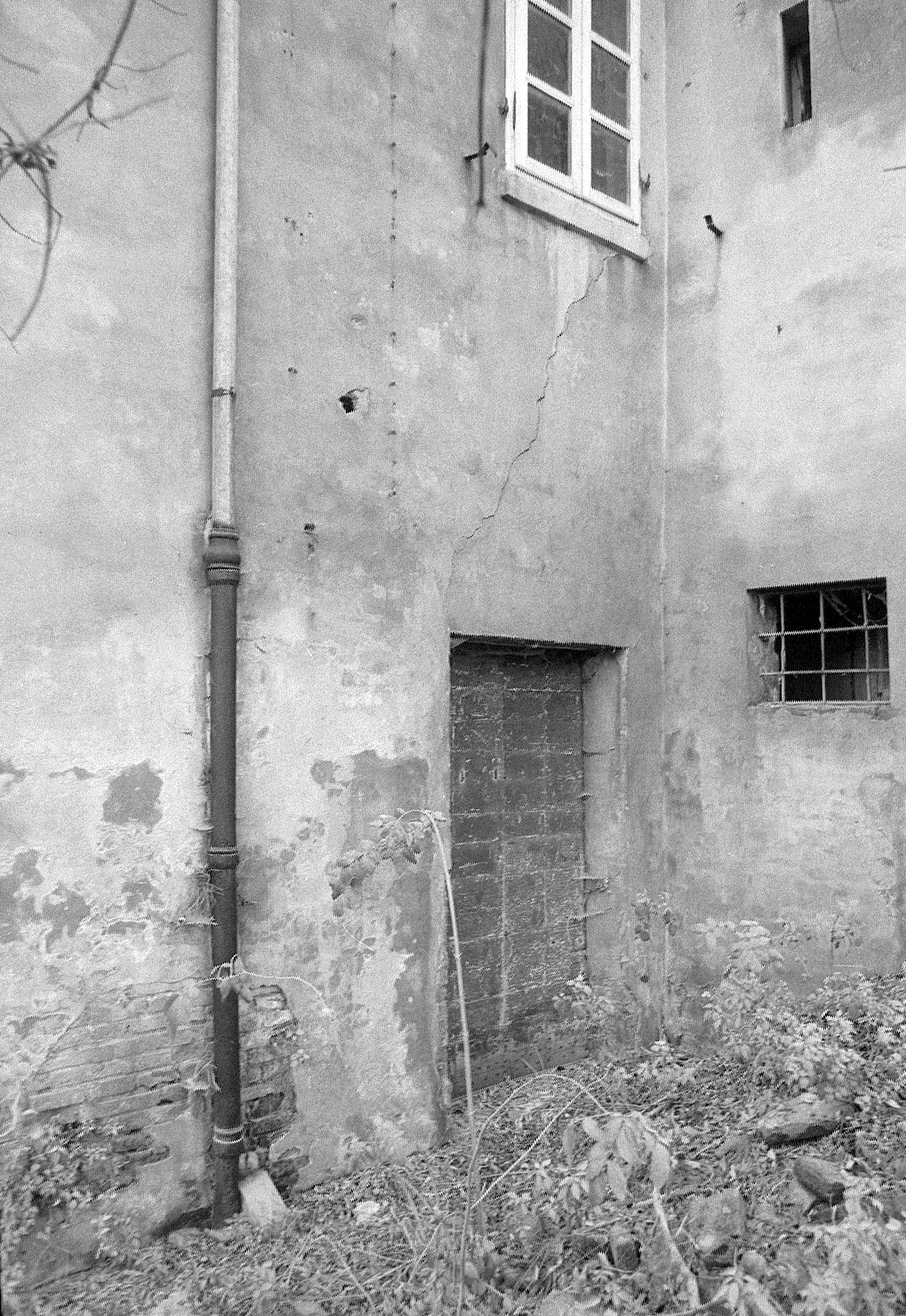 Italia - Emilia Romagna - Ferrara - Architetture - Palazzi - Palazzo Schifanoia (negativo) di Felisatti, Daniele (XX)