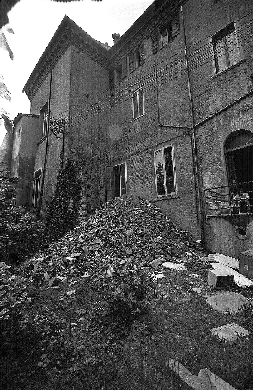 Palazzo Schifanoia <Ferrara> - 1466-1493 - prospetto nord - particolare (negativo) di Gessi, Aldo, Benvenuti, Pietro, Rossetti, Biagio (XX)