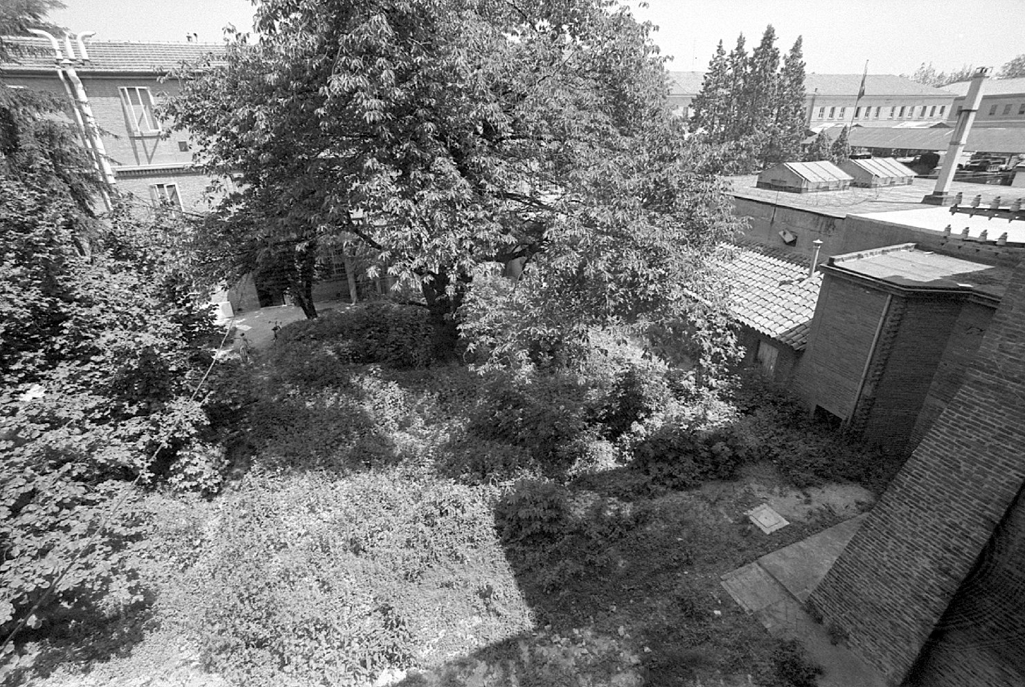 Facoltà Universitarie <Ferrara> - Farmacia (negativo) di Felisatti, Daniele, Rossetti, Biagio (XX)