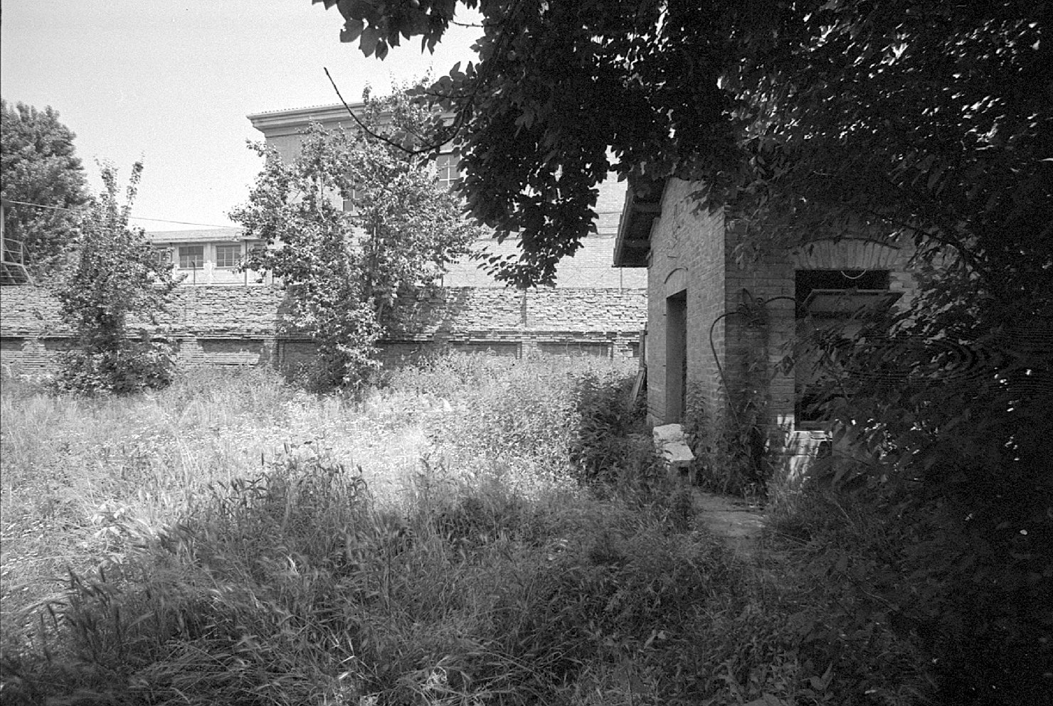 Restauro - 1986 - Palazzo Schifanoia <Ferrara> (negativo) di Felisatti, Daniele (XX)