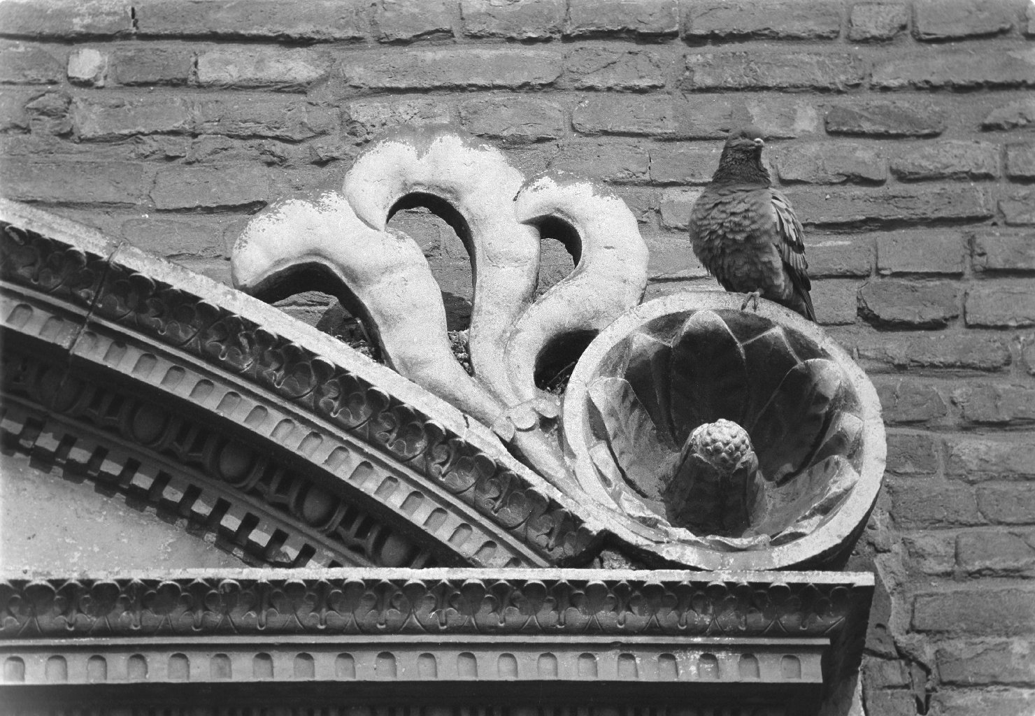Italia - Emilia Romagna - Ferrara - Architettura - Palazzi - Palazzo Schifanoia (negativo) di Felisatti, Daniele, Ambrogio di Giacomo, Antonio di Gregorio (XX)