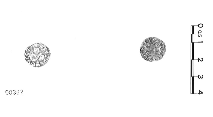 moneta - bolognino romano (seconda metà XV)