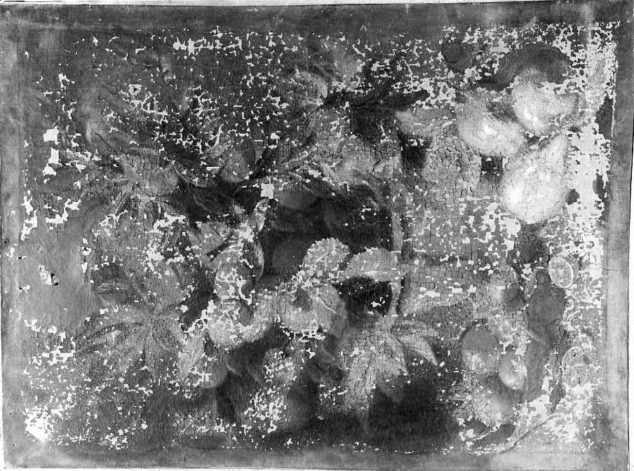 Natura morta (dipinto) di Cusati Gaetano (attribuito) (secc. XVII/ XVIII)