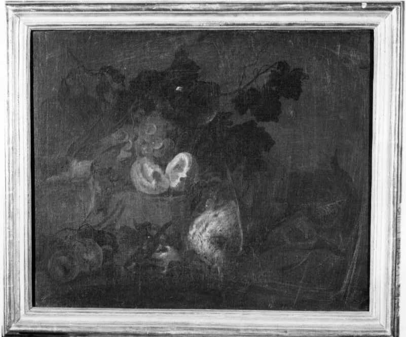 Natura morta con frutta e cacciagione morta, natura morta (dipinto, opera isolata) di Gryef A (secc. XVII/ XVIII)