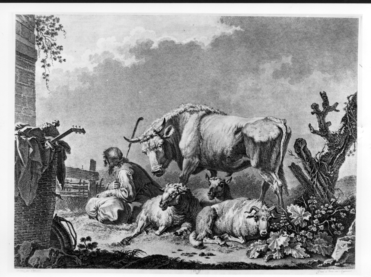 Scena pastorale, scena pastorale (stampa) di Palmieri Pietro Giacomo, Arghinenti Antonio (secc. XVIII/ XIX)