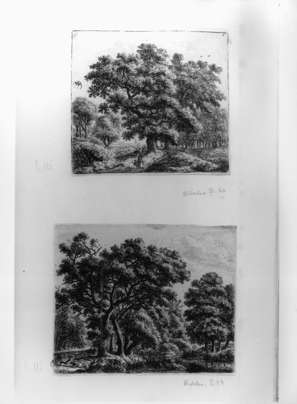 Il cacciatore di anatre, paesaggio con alberi e figure (stampa smarginata, elemento d'insieme) di Waterloo Anthonie (metà sec. XVII)