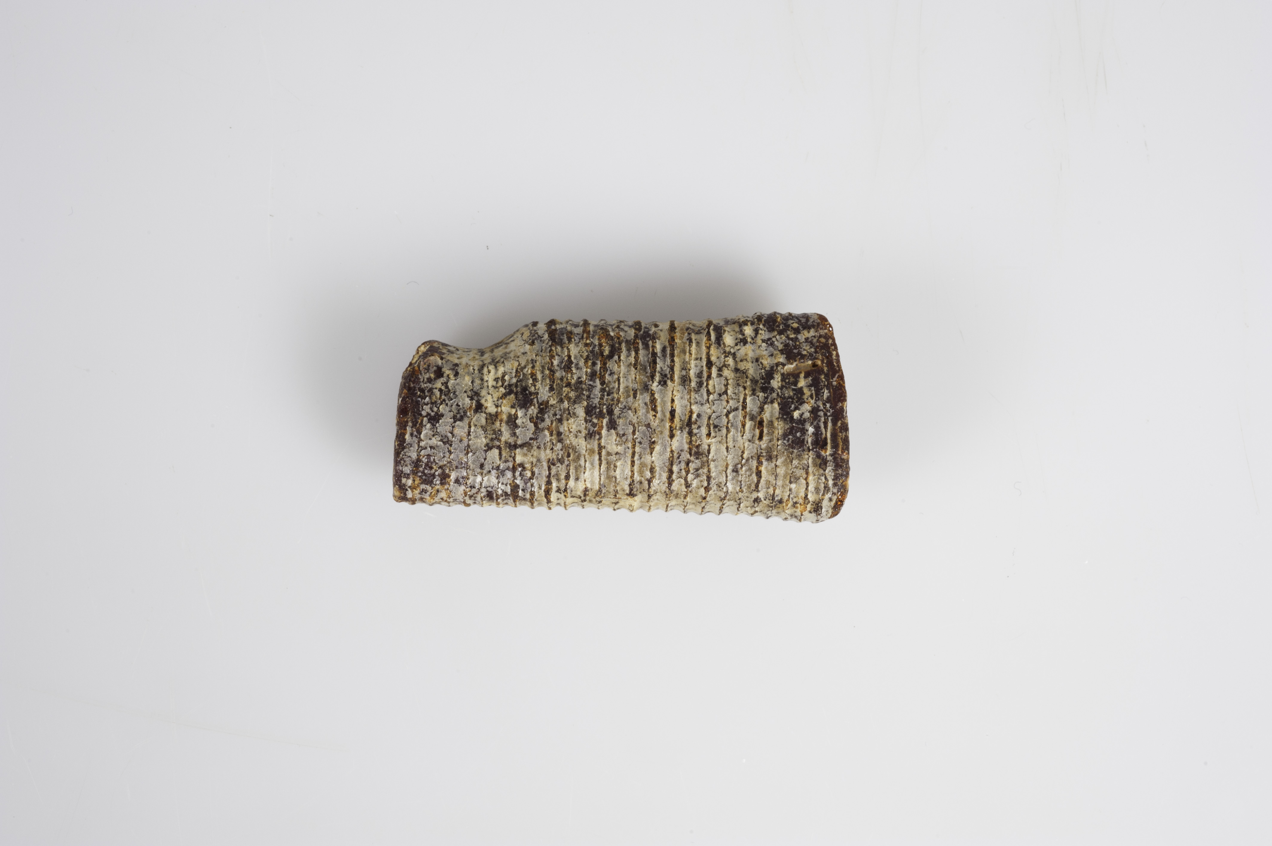 vago, tipo Allumiere - Cultura protoveneta (XII-X sec. a.C)