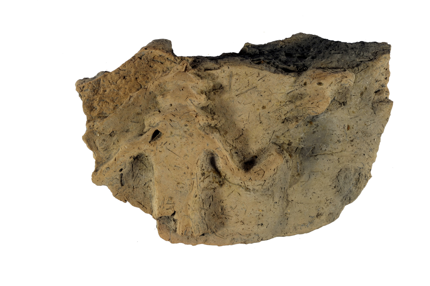 dolio/ parete - Cultura protoveneta (XII-X sec. a.C)