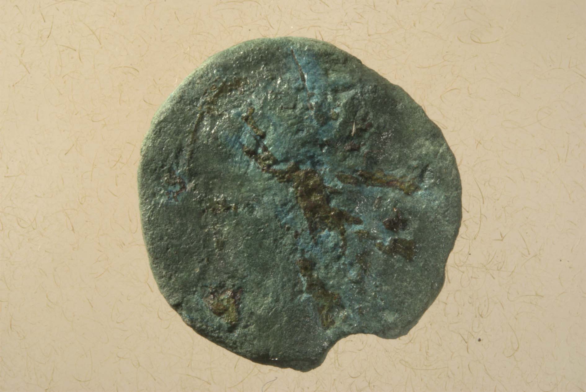 moneta - Asse (Età degli Antonini)