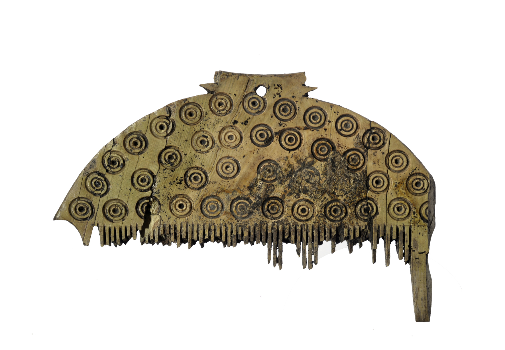 pettine - Cultura proto-veneta (XI-X sec. a.C)