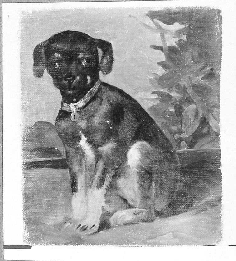 animali (dipinto) di MarkÃ² Andrea (sec. XIX)