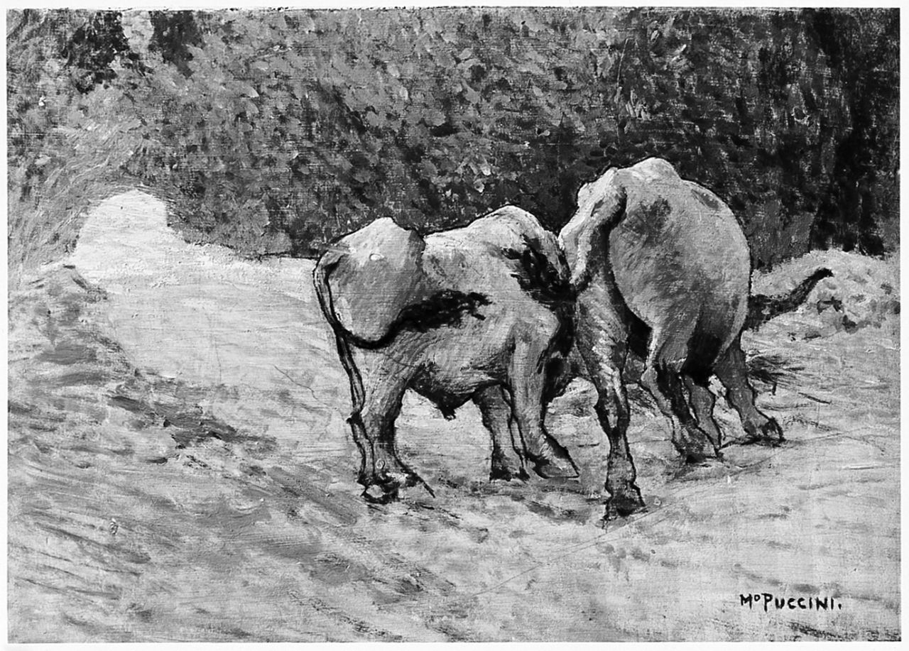 Bovi, buoi (dipinto) di Puccini Mario (inizio sec. XX)