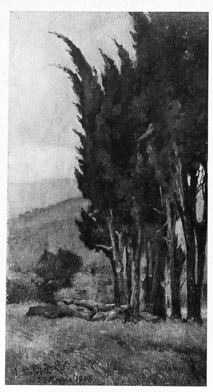 Cipressi al vento, paesaggio con alberi (dipinto) di Salvetti Antonio (sec. XX)