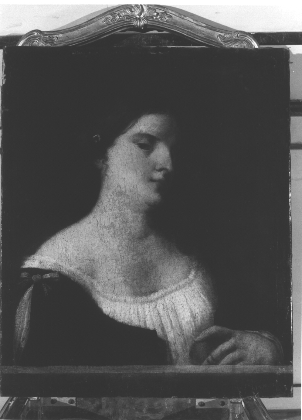 Ritratto di donna con mela, Ritratto di donna (dipinto, opera isolata) di Palma il Vecchio (attribuito) (sec. XVI)