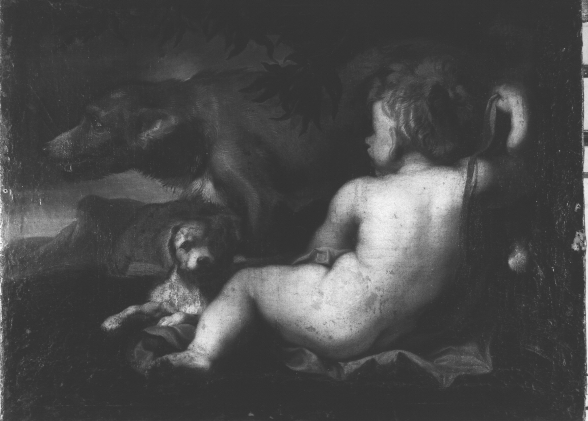 Ciro allattato dalla cagna, Ciro allattato dalla cagna (dipinto, opera isolata) di Piola Domenico (attribuito) (metà sec. XVII)