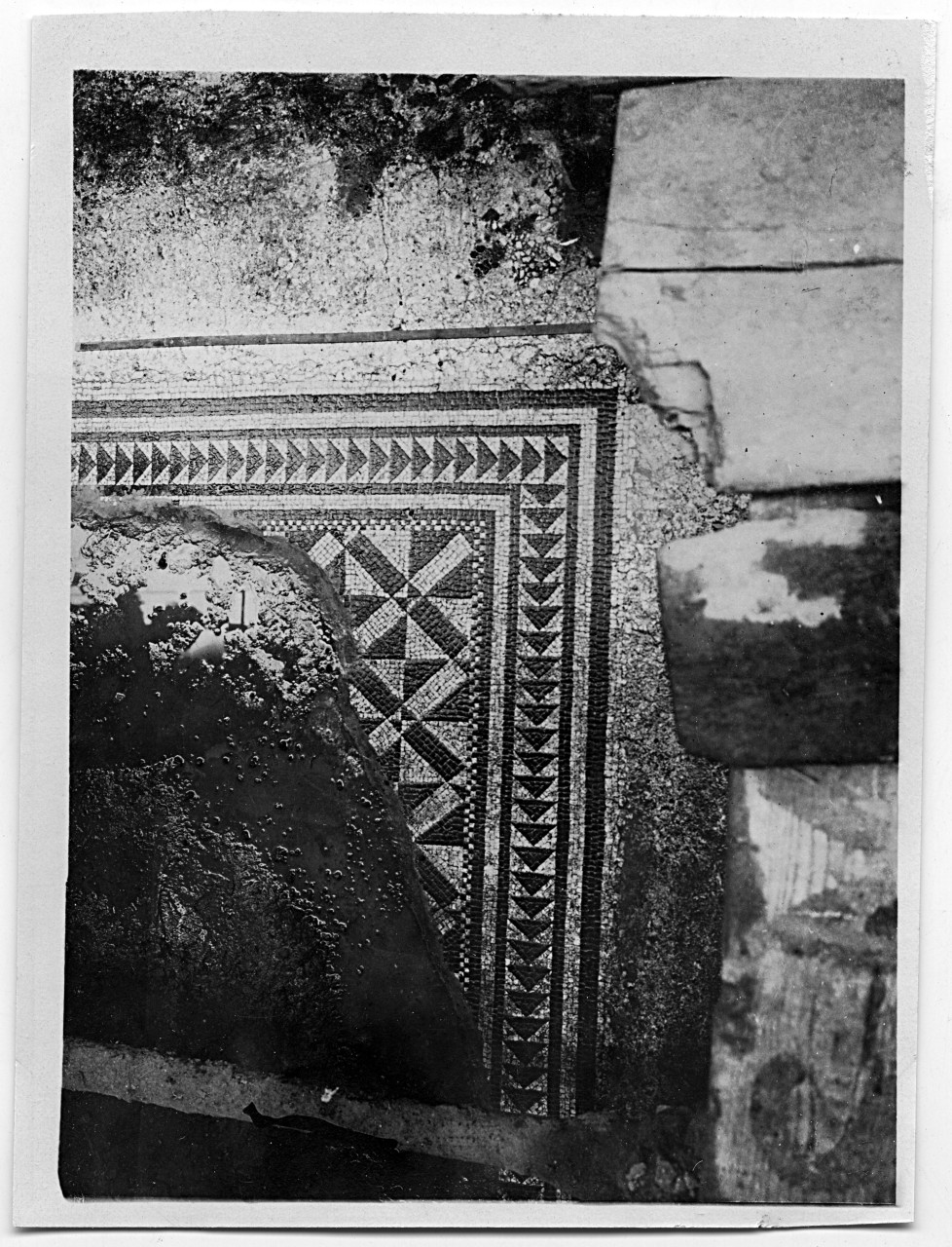 Collocazione ignota - Mosaico pavimentale d'epoca romana (negativo) di Gabinetto fotografico del Polo Museale Fiorentino (laboratorio) (primo quarto XX)