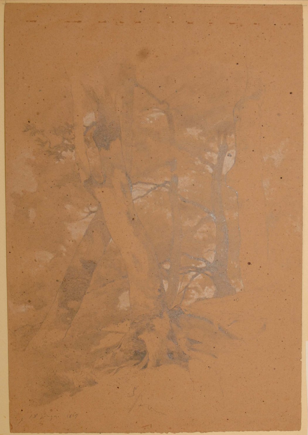 bosco (disegno, opera isolata) di Bruzzi Stefano (sec. XIX)