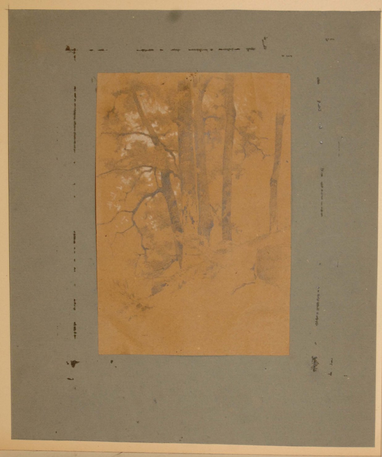 bosco (disegno, opera isolata) di Bruzzi Stefano (sec. XIX)
