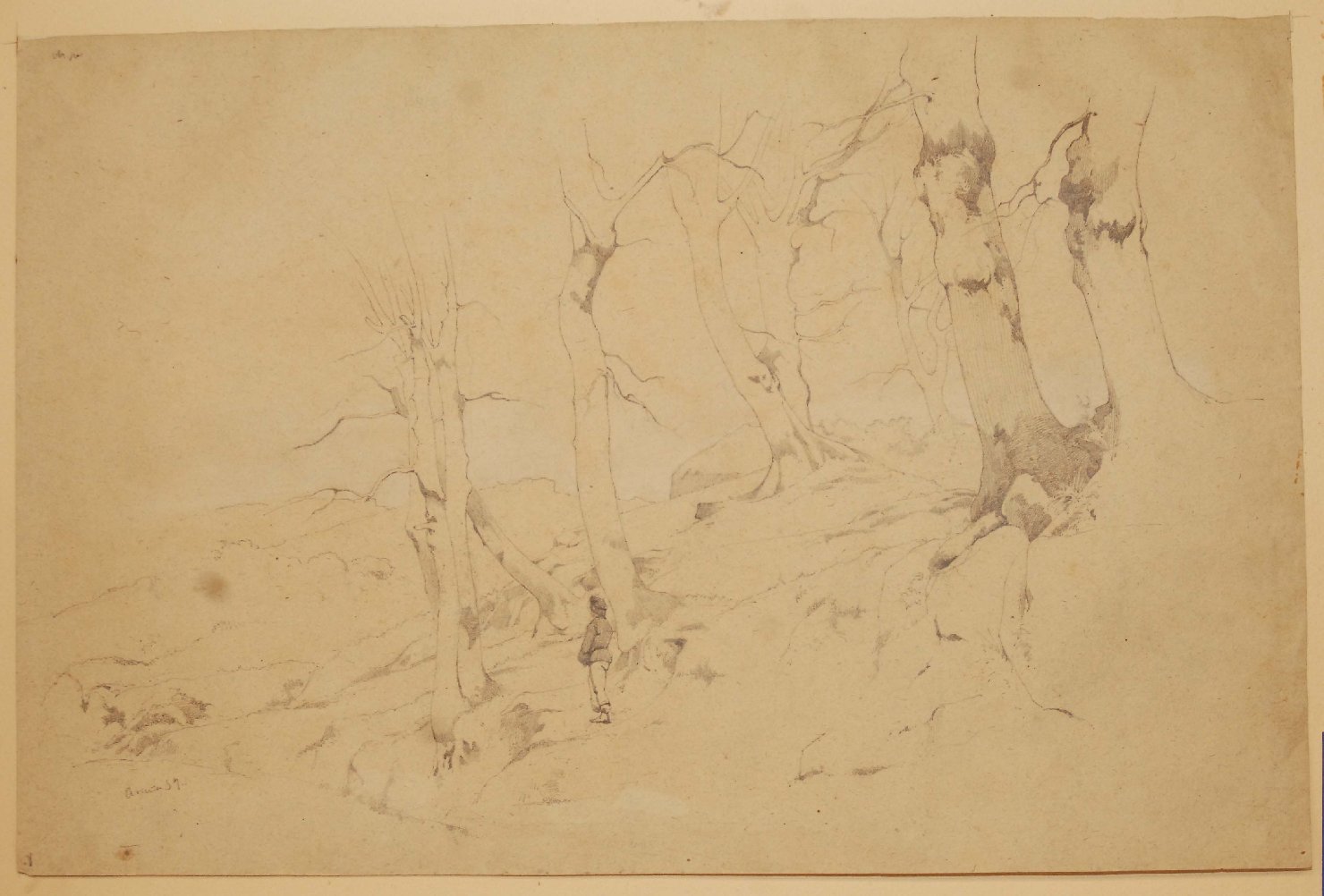 Ariccia 57, paesaggio con alberi e figura (disegno, opera isolata) di Bruzzi Stefano (sec. XIX)