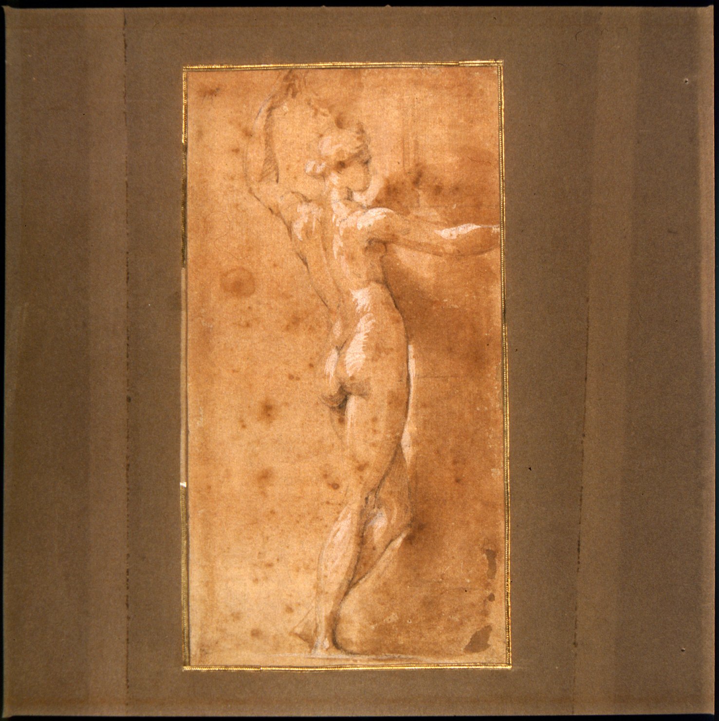 studio per una Vergine della Steccata (disegno preparatorio, opera isolata) di Mazzola Francesco detto Parmigianino (sec. XVI)