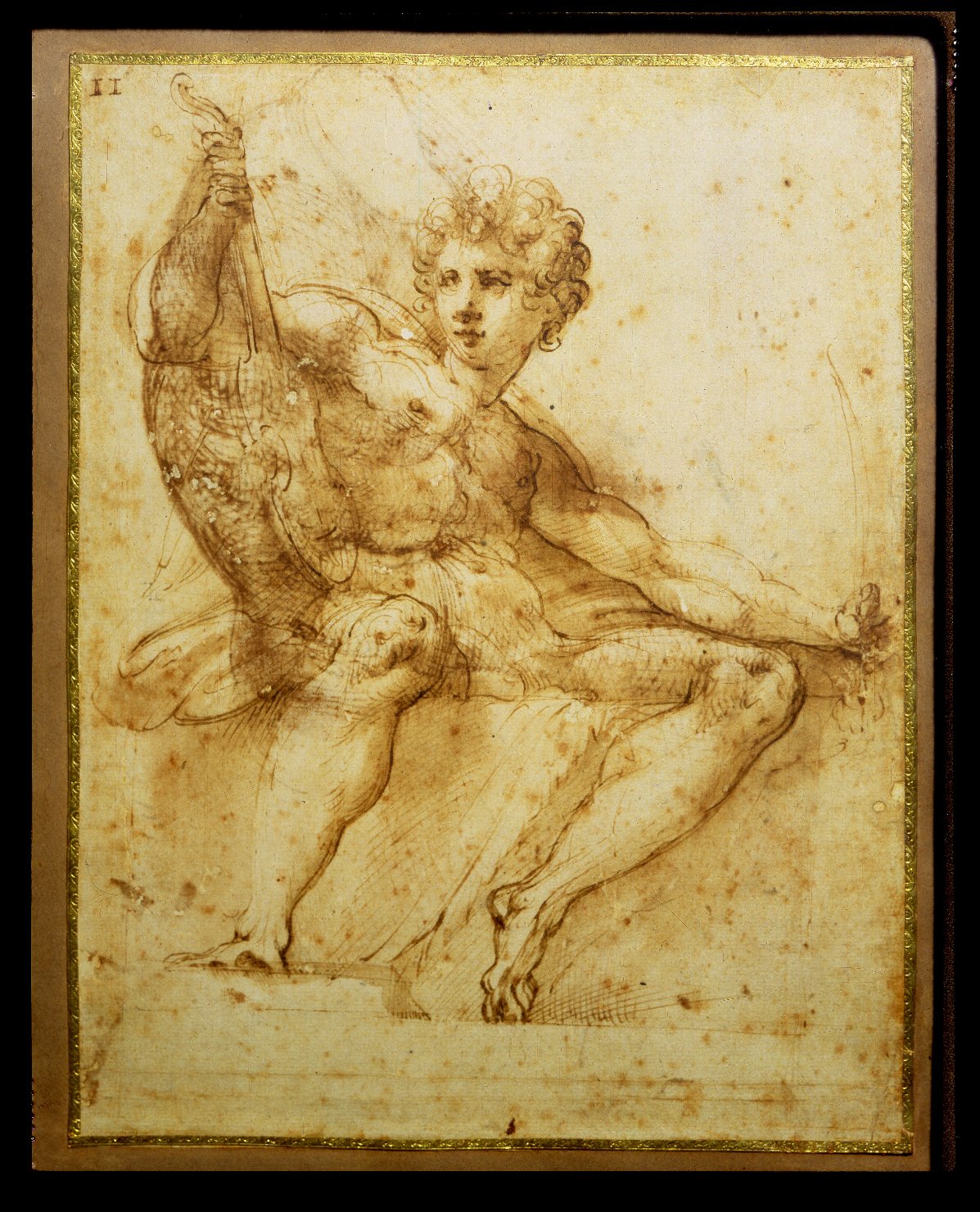 Apollo o David con la viola da braccio (disegno, opera isolata) di Mazzola Francesco detto Parmigianino (sec. XVI)